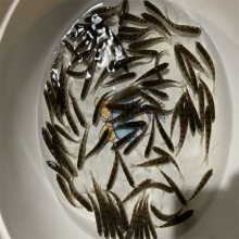 ڼƷϪˮʯ ̬ ȫֱ ֧