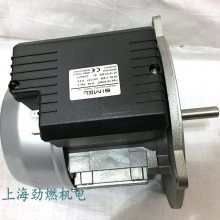 0005010059TipoXS5/3007百得Baltur燃烧器用SIMEL电机/马达0.37kW