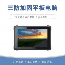 集特 10.1寸国产三防平板电脑A10-AD4 安卓麒麟系统 加固手持平板