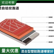 塑胶跑道人造草坪厂家PVC篮球足球场硅PU操场全包新国标质保