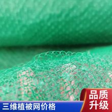 三维复合排水网 长丝HDPE垃圾填埋场过滤网 边坡导流土工网 可定制