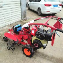 大葱柴油开沟培土机 手把可360度旋转开沟机 电启动多功能田园管理机