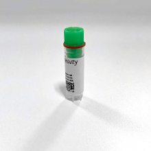 PE Cannabinoid CB1 (human) membrane preparation