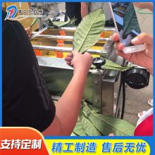 粽叶清洗机器 小型粽叶清洗机器报价