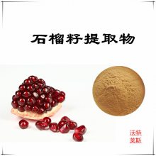 石榴籽提取物10:1 速溶粉 食品级原料 沃特莱斯生物 喷雾干燥