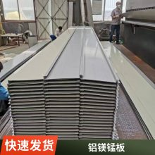 铝镁锰设备 400型铝镁锰压成型厂  铝镁锰扇形板  直边屋面板公司