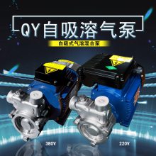 20QY-1/6SS380V/60HZַʴˮϼѹ