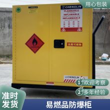 CHENGLIN/ȼҺ尲ȫ12Gal/45LѡGA˫