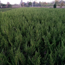 رۡڷ30-8011.5