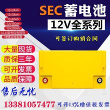 英国SEC蓄电池12TLA17铅酸免维护12V17AH电梯音箱UPS后备电源