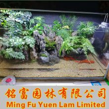 鱼缸石批发 广东青龙石批发厂家5 水族青龙石产地 鱼缸造景石