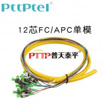 PTTP普天泰平 12芯FC单模束状尾纤12色FC/APC集成光纤活动连接器