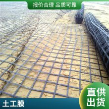 黑色聚丙烯PP土工格栅工程道路基加筋固护坡挡土双向塑料格栅