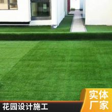 冷季型四季青草皮 大型草坪基地 种植经验富 各种草籽草种