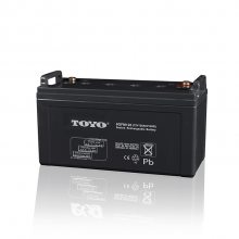 TOYO6GFM9¶ʪ12V9AH