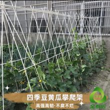 金泰诺拱棚爬藤支撑杆 定做玻璃纤维棒批发断裂伸长率低