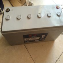 法国路盛蓄电池12LPA100A 12V100AH/20HR原产地及出厂证明