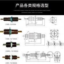 CWWB-40.5/3000A-4յǽ׹ܺõʡ