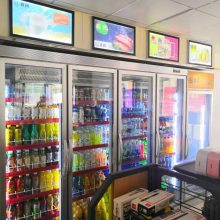 三盾冷链咸宁松下便利店冷柜饮料柜保鲜展示柜