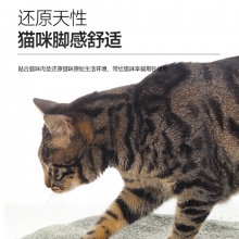 郑州仓鼠猫砂多久换一次 上海蓝钻宠物用品供应