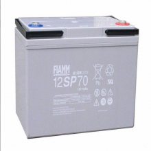 FIAMM*** 12SP42 ʽǦά12V42AH