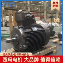 ˼YBBPϵ YBBP-5604-8 710KW ƸͱƵ10KVѹ