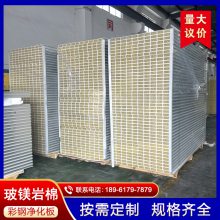 定制50mm洁净彩钢板 防火岩棉板 手工净化板吊顶