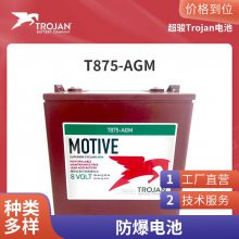 Trojan邱健蓄电池T-105铅酸储能型 洗地机 观光车 叉车营销中心