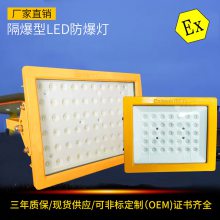 BLED9101άLEDƼվͶ100W200W