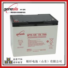 GenesisNP55-12ͨѶ UPSԴ12V-5***HǦ