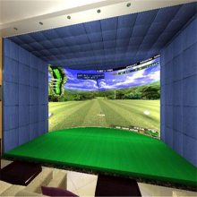 Ԫ����߶��� ��������ͶӰ �Ƽ���ʤһ��ģ��golf