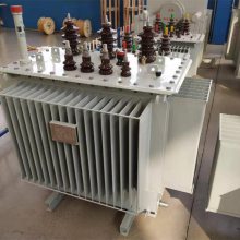 S11-M-200KVA/380V/1140V/1300V ͽʽ ѹѹ ȫͭ
