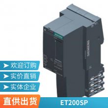 6ES7ϵPLC6GT2200-0DA01 24VDCѹ