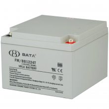 BATAFM/BB1224T 12V24AH/20HRܷʽǦ