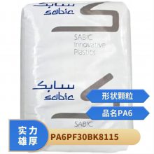 PA6   PF 30 BK8115 ϻ ǿ  õ