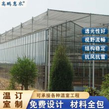 费县铁皮石斛第八代大棚建造施工