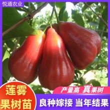 ޽ӺǰűڽƷˮϷֲ