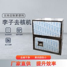 李子脱核设备 玉皇李子脱核机器 李子去籽设备