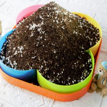重庆营养土厂家 腐殖土 【货源充足 实力厂家】