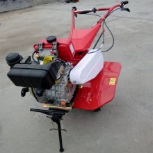 ʥ³ ΢ݻ СͶ๦¢