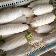 100ִײ˻أײ˳ڣСŰײֲ-ൺũׯ޹˾