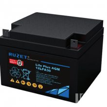 RUZET12LPA24·ʢAGM12V24AH UPSԴֱ