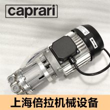 模温机防冻液磁力泵Caprari凯帛瑞CCT-X54 60HZ