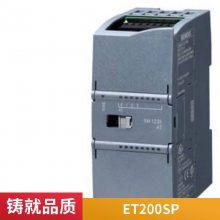 6AV6381-2BT07-3AV0ҵģ WinCC RC 102400 V7.3 SP1 Asia