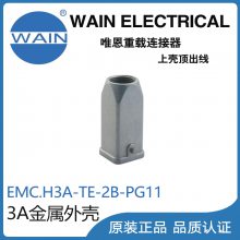 ΨWAINEMC.H3A-TE-2B-PG113AǾղͷ