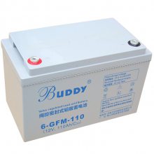 BUDDY 6-GFM-120 ͨѶ12V120AH ֱ  UPSԴ