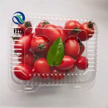 超市开心果塑料包装盒 透明塑料盒包装樱桃 果蔬塑料盒 河北祥庆