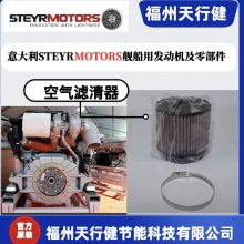 2179978-0 Z002100-4нӦSTEYRMOTORS÷