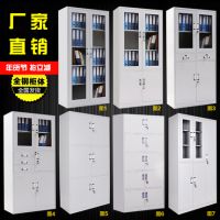 钢制文件柜带锁档案资料文件柜财务凭证存放柜储物柜书柜