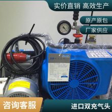 ˫ͷ 2300 r/minTRIPLEX P21 ЯʽǱˮ˶ѹ